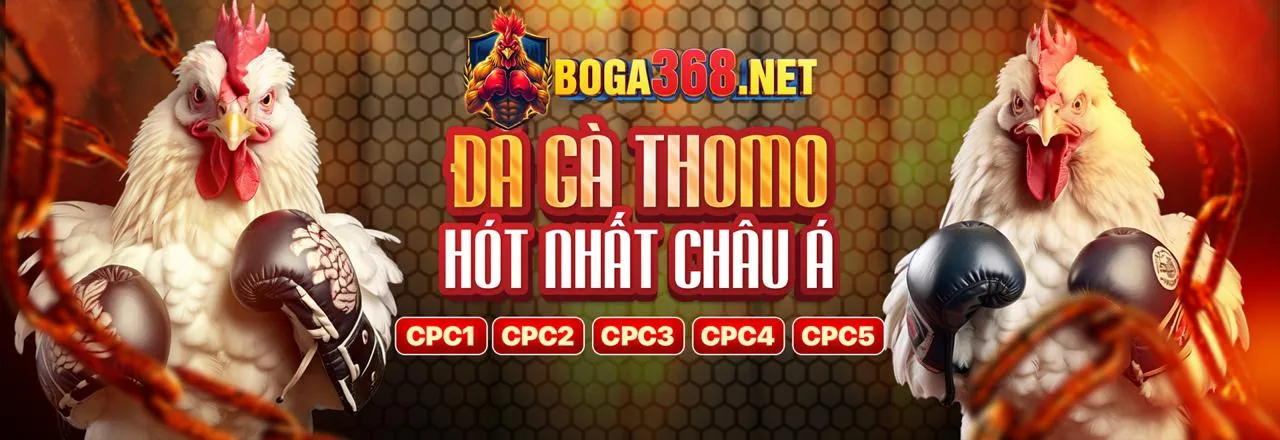 Đá Gà vibet88 chính thức